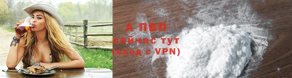 дмт Дмитровск