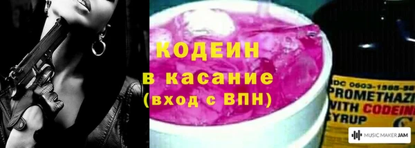 дмт Гусев