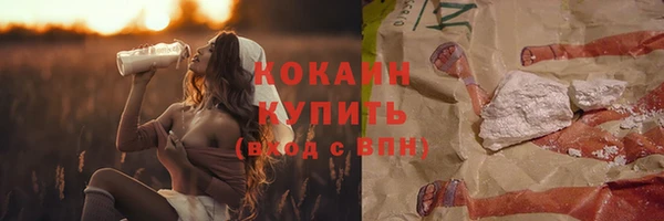 хмурый Гусь-Хрустальный