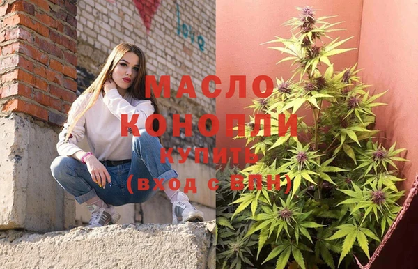дмт Дмитровск