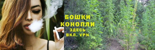 гашиш Дмитров
