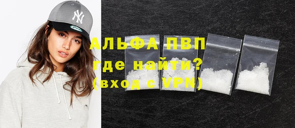 хмурый Гусь-Хрустальный