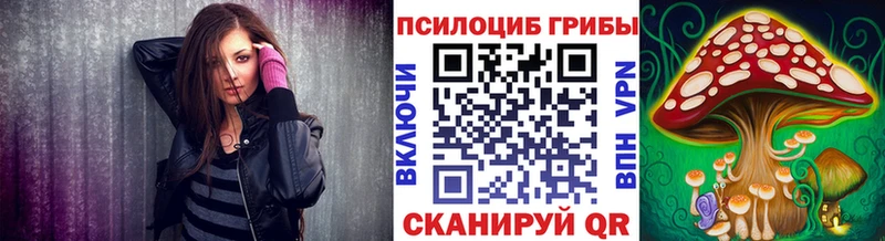 Псилоцибиновые грибы Cubensis  Шимановск 